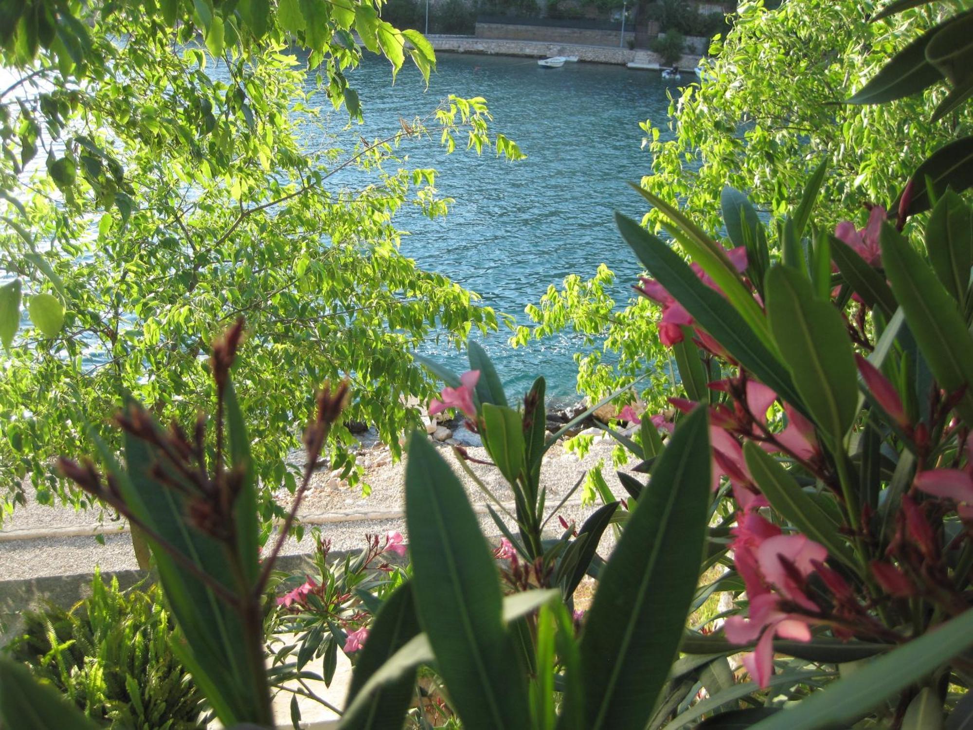 Villa Obad Guest House เนอุม ภายนอก รูปภาพ